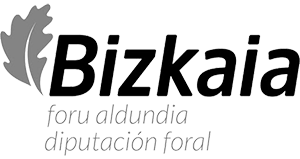 Bizkaia Provincial Council logo